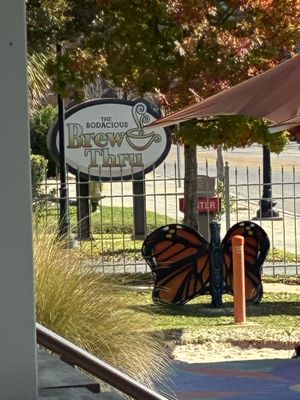 Place   at Brew Thru in Pensacola