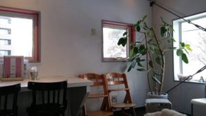 Inside the restaurant at Hibino Cafe AGT in Sapporo