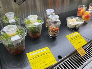 salads, etc. marked as vegan at Hibino Cafe AGT in Sapporo