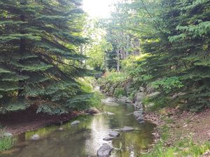  at Hibino Cafe AGT in Sapporo