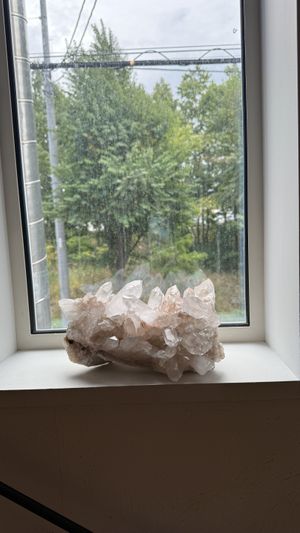   at Hibino Cafe AGT in Sapporo