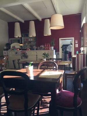 co-working  at InFusion in Genoa