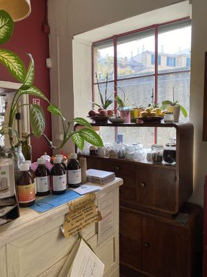   at InFusion in Genoa