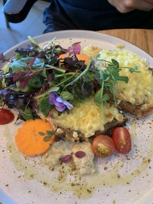 Cheese toastie   at Avodi Vegetarian & Cafe in Auckland