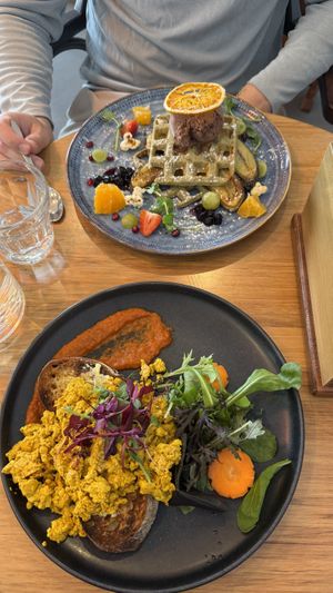   at Avodi Vegetarian & Cafe in Auckland