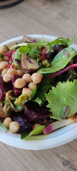  at Experimental station rainbow 12 in Bansko