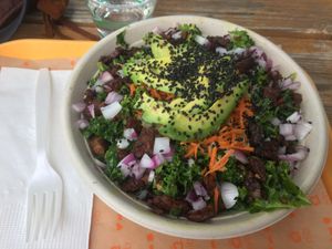 avo kale salad pretty filling must say at Next Level Burger in Bend