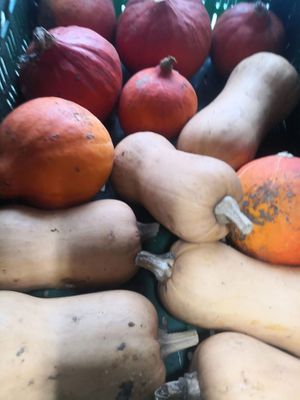 Articles vegans en vente   at Au Bio Village  in Région Wallonne