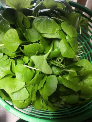 Articles vegans en vente   at Au Bio Village  in Région Wallonne