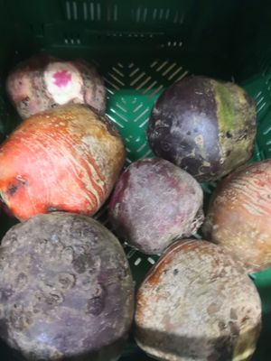 Articles vegans en vente   at Au Bio Village  in Région Wallonne