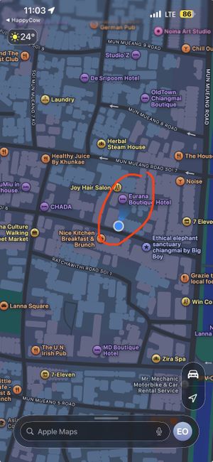   at Ming Kwan Vegetarian Restaurant in Chiang Mai