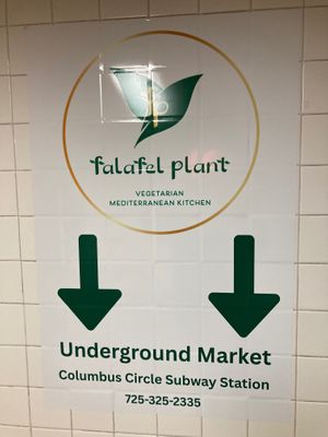 Sing at Falafel Plant in New York City