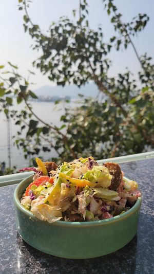 Falafel bowl at Green Grotto By Pichola in Rajasthan