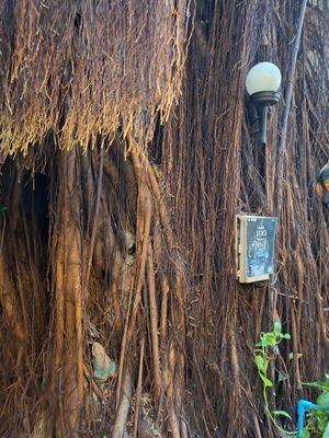  at Harmonique in Krung Thep Maha Nakhon