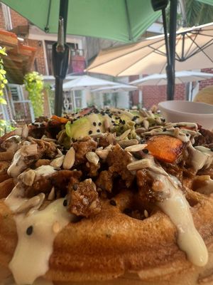  at The Wellness Patio in Puerto Vallarta