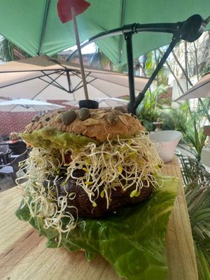  at The Wellness Patio in Puerto Vallarta