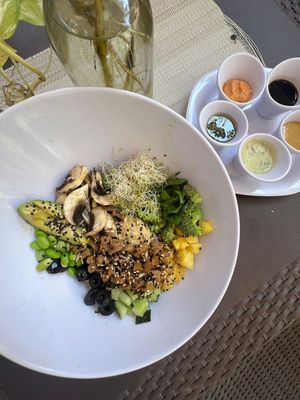  at The Wellness Patio in Puerto Vallarta