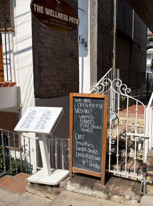  at The Wellness Patio in Puerto Vallarta
