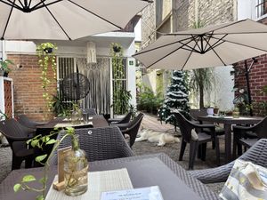   at The Wellness Patio in Puerto Vallarta