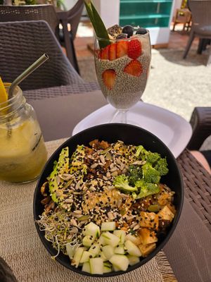  at The Wellness Patio in Puerto Vallarta