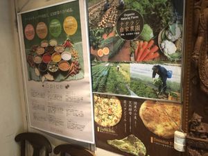 Vegan Indian Food at Nataraj - Ginza in Tokyo