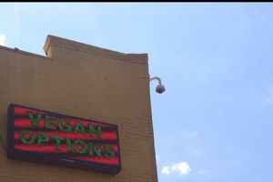 Walk towards the sign... at The Steer in Buffalo