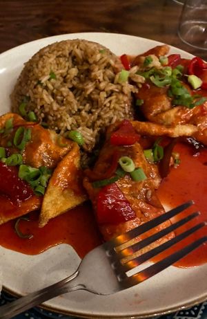 wonton dish in the vegetarian section  at Chifa La Familia Feliz in La Fortuna