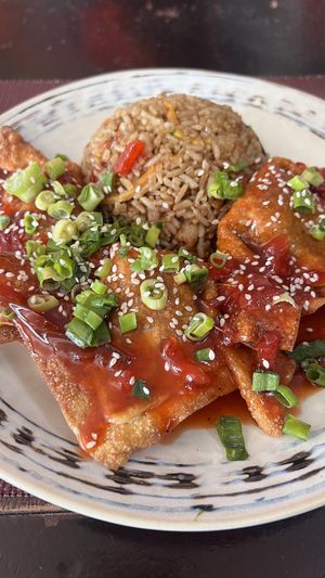 Wonton dish.   at Chifa La Familia Feliz in La Fortuna