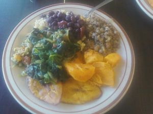 Vegetable Plate at Back to Edenz in Macon