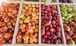   at Faith in Food in Annapolis