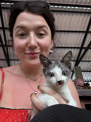   at The Rooftop in Tissamaharama