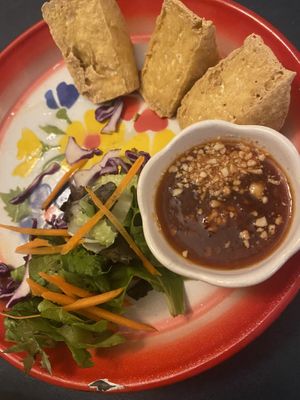 Tofu golden triangles   at A Little Thai Kitchen in New Jersey