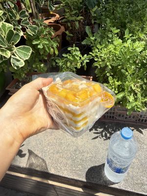 Mango sticky rice cup!!!!  at Sunny Side Up Café Samui in Koh Samui