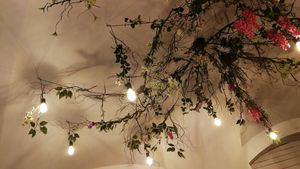 Beautiful ceiling decoration at San Domenico Caffe in Kosice