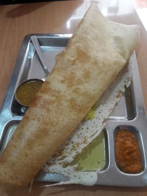 masala dosa at Saravana Bhavan- Bur Dubai in Dubai