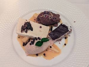  at Restaurant Stella Freiburg in Freiburg