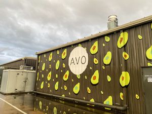 Outside at Avo in Nashville