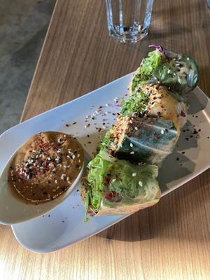 Kimchi spring rolls   at Avo in Nashville