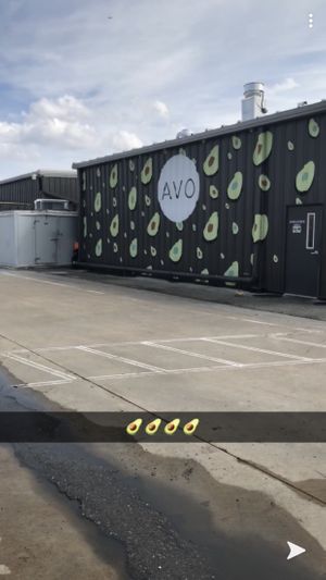 Avo! at Avo in Nashville