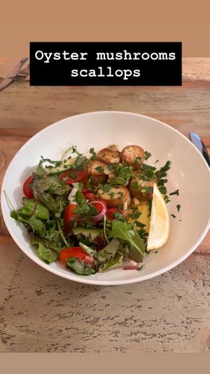   at Plantuguese in England