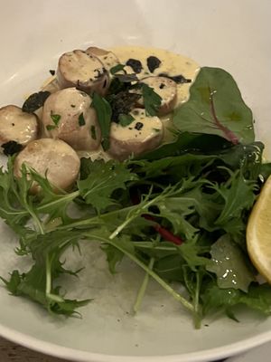   at Plantuguese in England