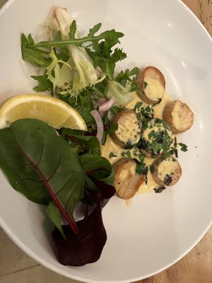 Scallops  at Plantuguese in England