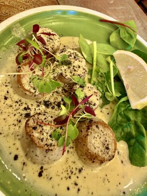 Scallops   at Plantuguese in Bristol