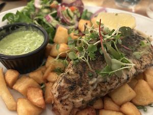 Sea Bass guitar   at Plantuguese in Bristol