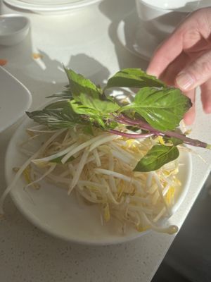 Bean sprouts and herbs  at Tamarind Vietnamese Grill and Noodle House in Calgary