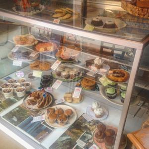 Bakery case of dedicated GF and Vegan pastries, bagels and scones! at Shambala Bakery and Bistro in Mount Vernon