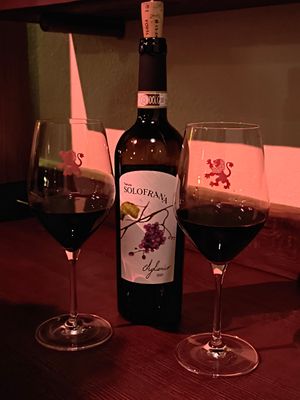 Wine at Leone Rosso - Hi-Fi Osteria in Padua