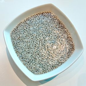 Chia porridge with coconut milk at LIV Restaurant in Dubai