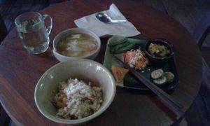 Lunch set with Ginger Rice... wow! at Amrita Garden in Chiang Mai