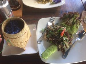 Indigo at Indigo Cafe in Luang Prabang